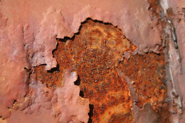 doku fırça eski metal plaka