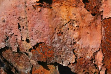 doku fırça eski metal plaka