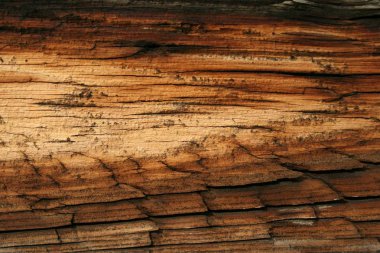 Koyu ahşap arka plan fotoğraf tasarım