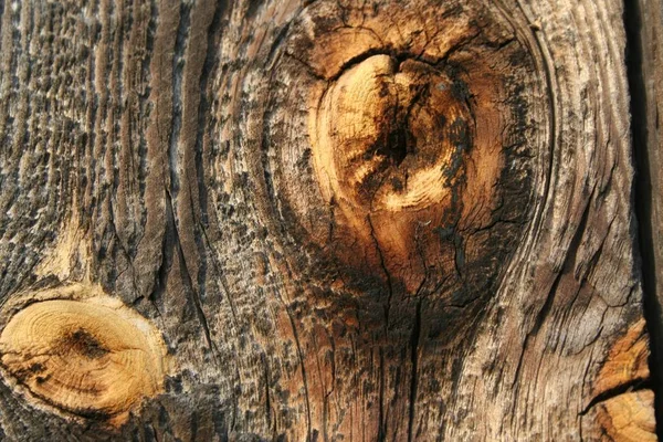 暗い木製の背景写真の設計 — ストック写真
