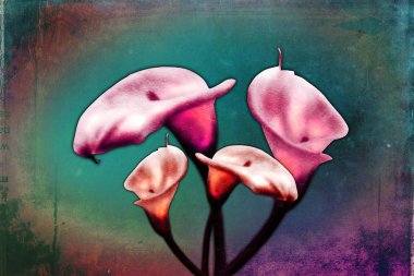 Sanat illüstrasyonu çiçekli klasik arkaplan