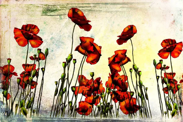 미술 일러스트 꽃으로 뒤덮인 빈티지 배경 — 스톡 사진