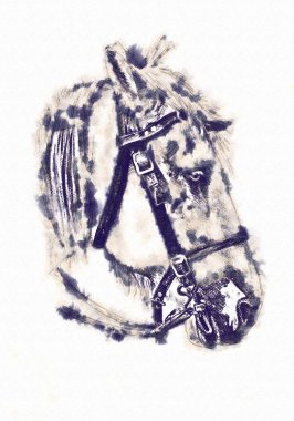 serbest el at baş karakalem