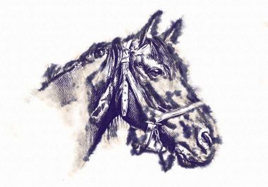 serbest el at baş karakalem