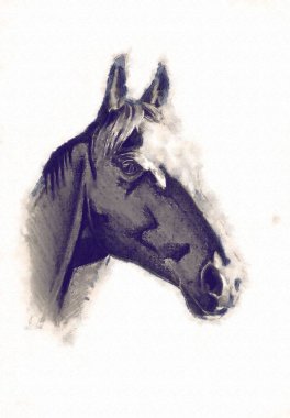 serbest el at baş karakalem