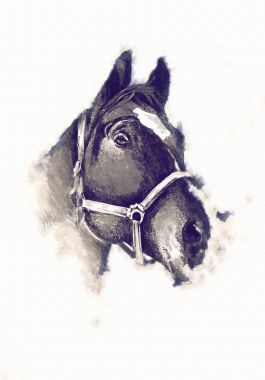 serbest el at baş karakalem