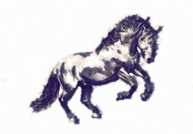 serbest el at baş karakalem