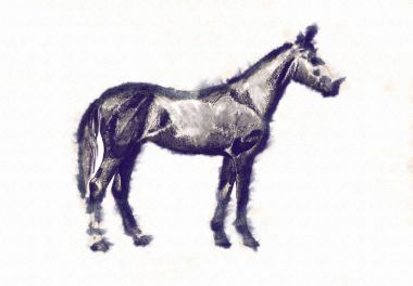 serbest el at baş karakalem