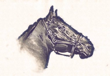 serbest el at baş karakalem