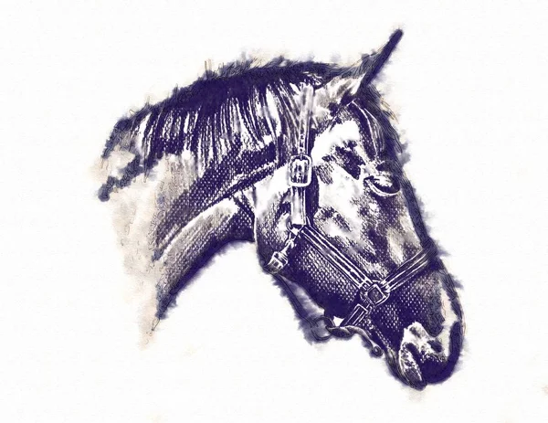 serbest el at baş karakalem