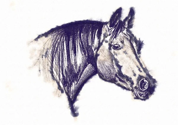 serbest el at baş karakalem