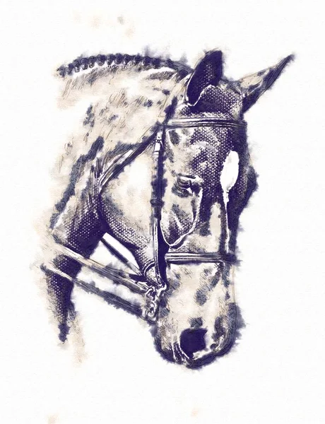 serbest el at baş karakalem