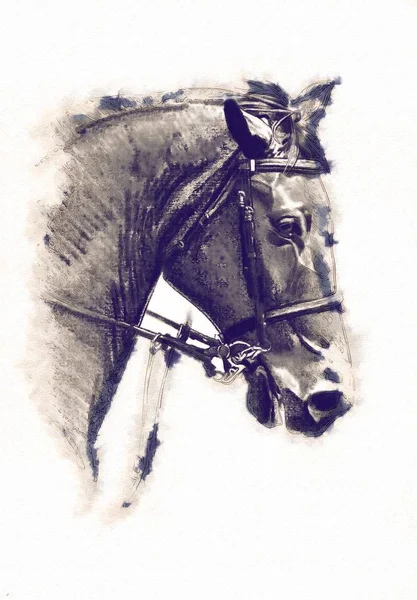 serbest el at baş karakalem