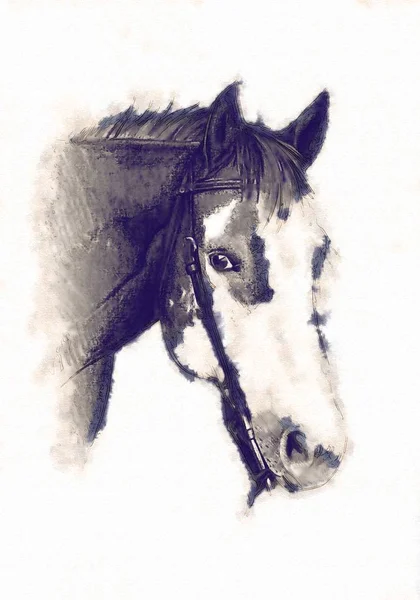 serbest el at baş karakalem