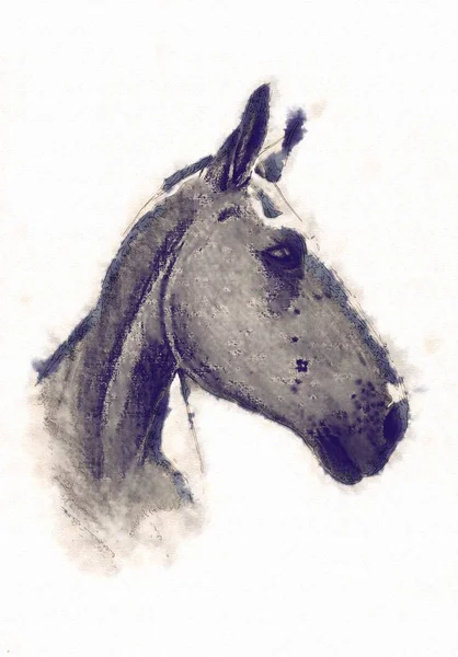 serbest el at baş karakalem