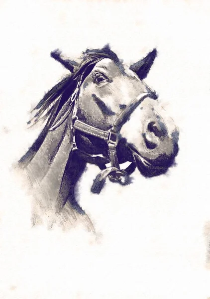 serbest el at baş karakalem