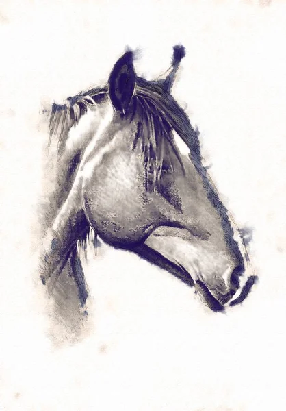 serbest el at baş karakalem