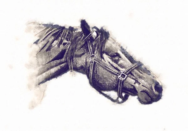 serbest el at baş karakalem