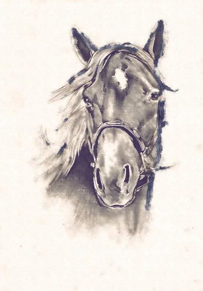 serbest el at baş karakalem