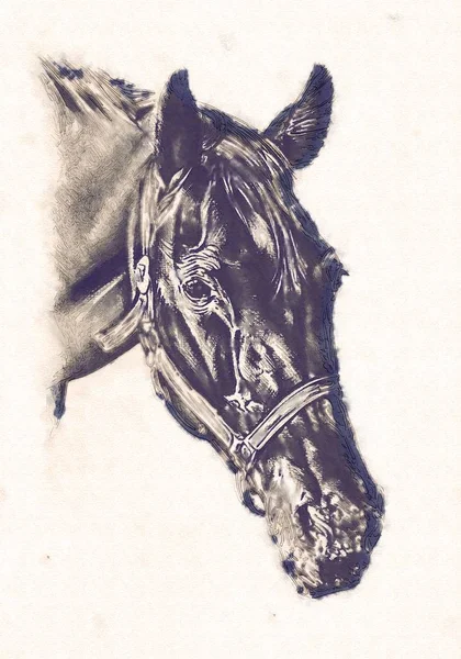 serbest el at baş karakalem