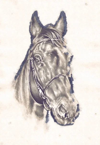 serbest el at baş karakalem