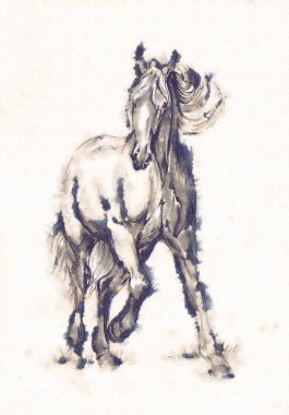 serbest el at baş karakalem