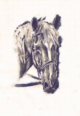 serbest el at baş karakalem