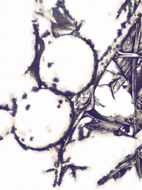 Bitki kompozisyon sanat illüstrasyon