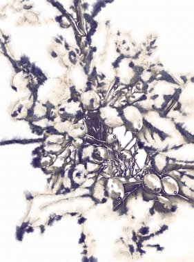 Bitki kompozisyon sanat illüstrasyon