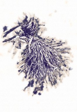 Bitki kompozisyon sanat illüstrasyon