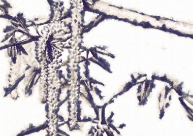 Bitki kompozisyon sanat illüstrasyon