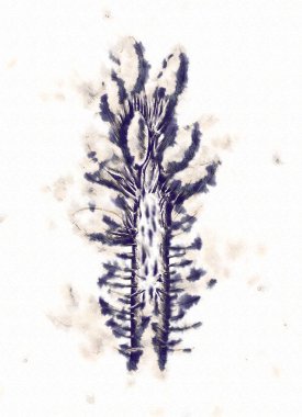 Bitki kompozisyon sanat illüstrasyon