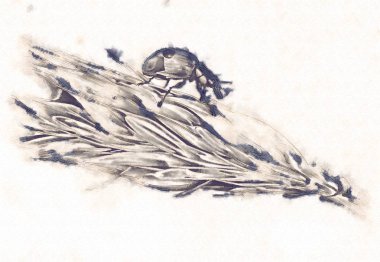 Bitki kompozisyon sanat illüstrasyon