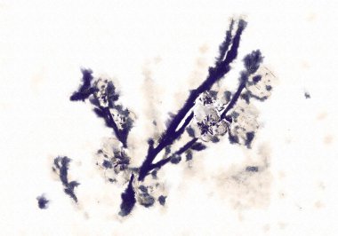 Çiçek Çizim sanat illüstrasyon