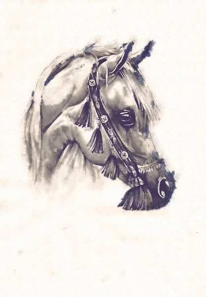 serbest el at baş karakalem