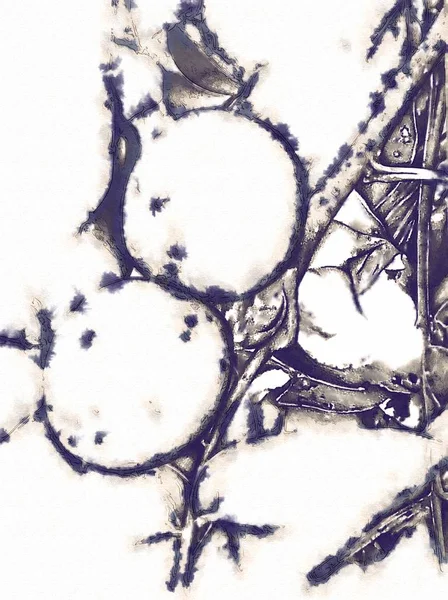 Bitki kompozisyon sanat illüstrasyon