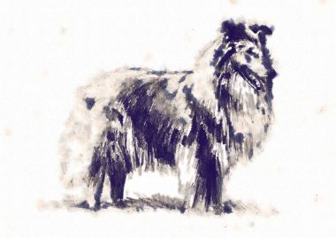 Komik köpek sanat illüstrasyon