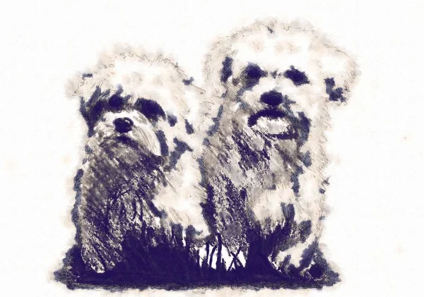 Смішна ілюстрація собачого мистецтва — стокове фото