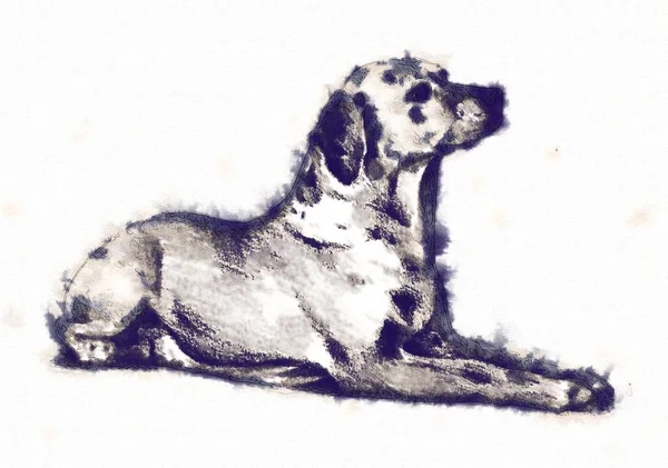 Divertido perro ilustración de arte —  Fotos de Stock