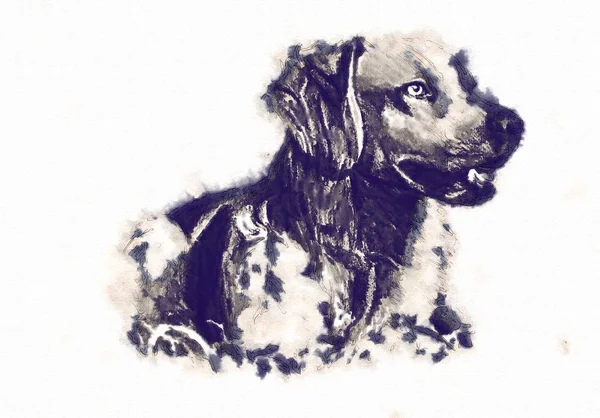 Αστείο σκύλο εικονογράφηση τέχνη — Φωτογραφία Αρχείου