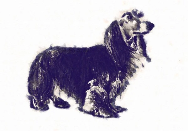Lustige Hundekunst-Illustration — Stockfoto