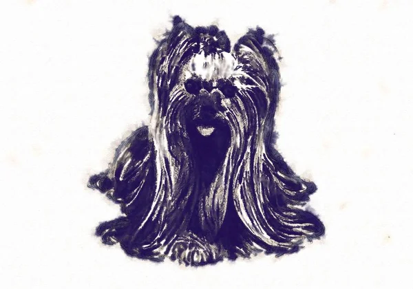 Funny dog art illustration — Stock Photo, Image