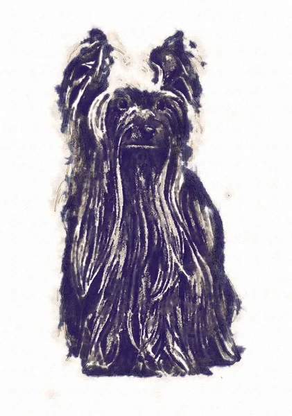 Rolig hund konst illustration — Stockfoto