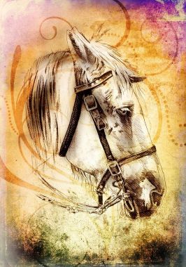 serbest el at baş karakalem