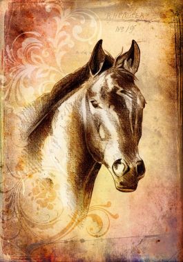 serbest el at baş karakalem