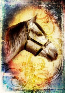 serbest el at baş karakalem