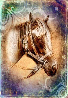 serbest el at baş karakalem