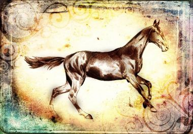 serbest el at baş karakalem