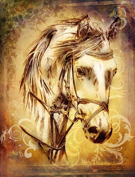 serbest el at baş karakalem