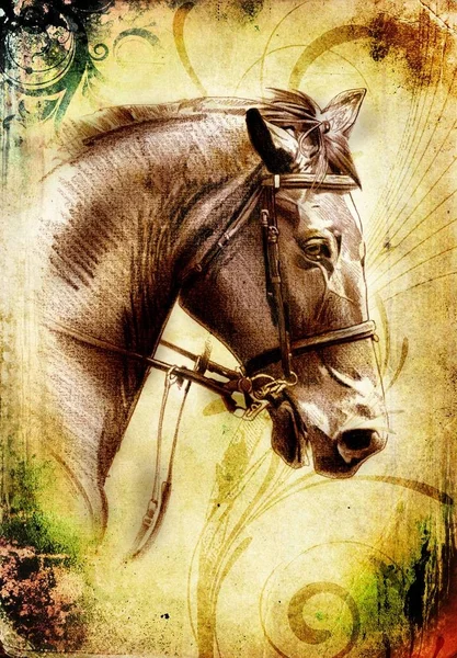 FreeHand paard hoofd potlood tekenen — Stockfoto